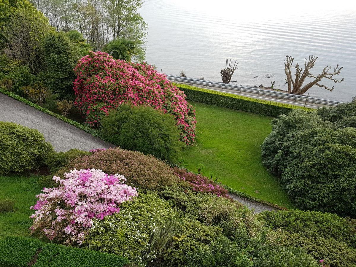Bmp Apartment Gioiosa 1 Terrazza Vista Lago Belgirate Zewnętrze zdjęcie